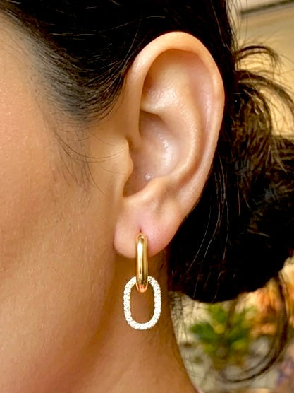 Pick me not earrings