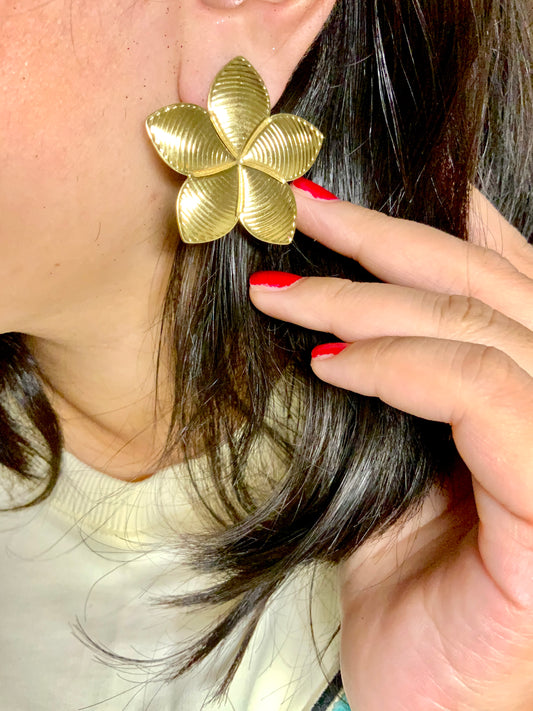 Blame laila earrings